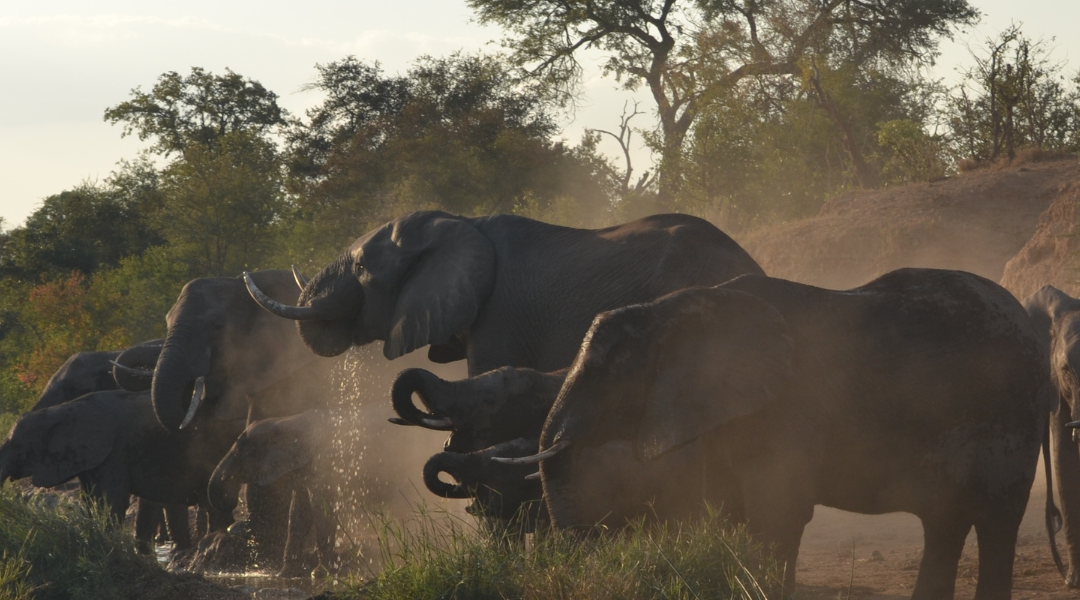 Circuit Afrique du Sud; PLUSIEURS DÉPARTS GARANTIS