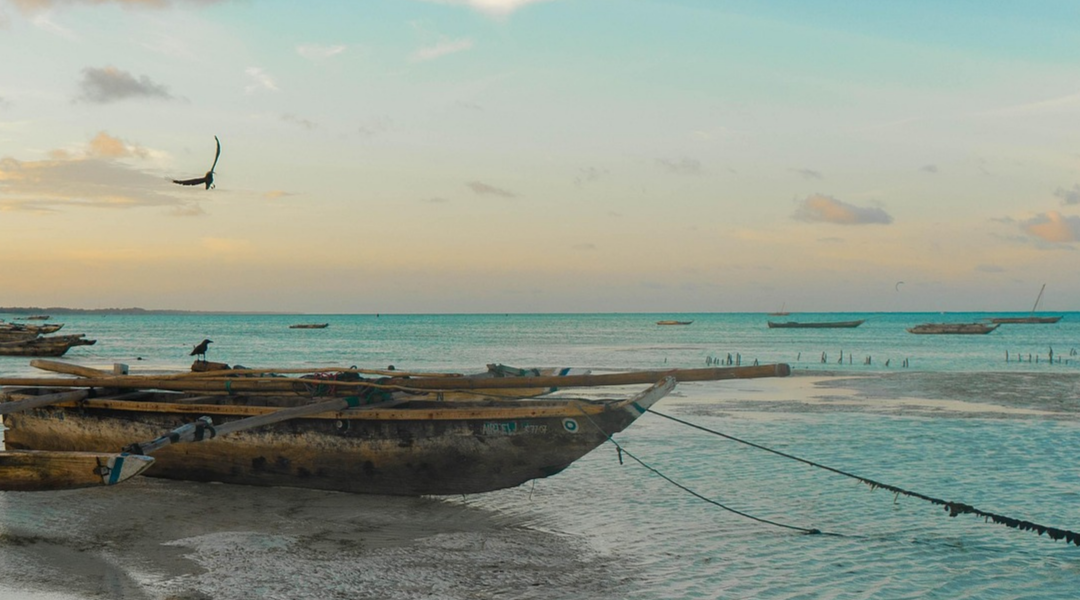 Circuit Essentiel Tanzanie & Zanzibar